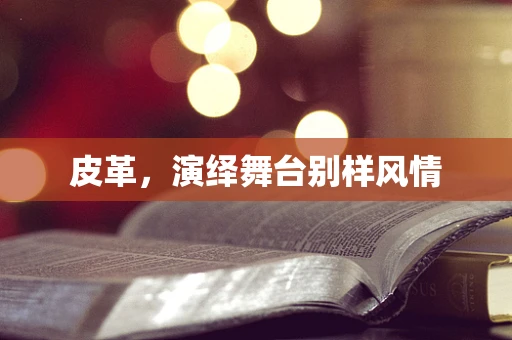 皮革，演绎舞台别样风情