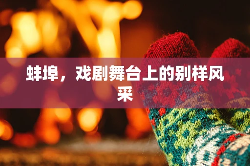 蚌埠，戏剧舞台上的别样风采