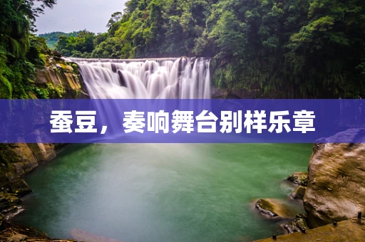 蚕豆，奏响舞台别样乐章