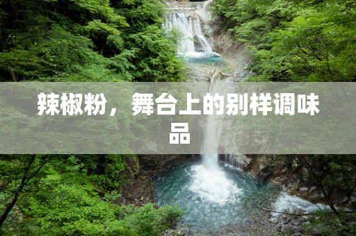 辣椒粉，舞台上的别样调味品