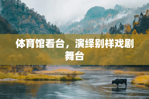 体育馆看台，演绎别样戏剧舞台