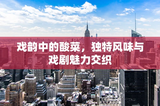 戏韵中的酸菜，独特风味与戏剧魅力交织