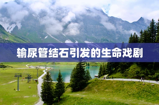 输尿管结石引发的生命戏剧