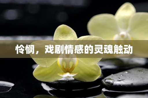 怜悯，戏剧情感的灵魂触动