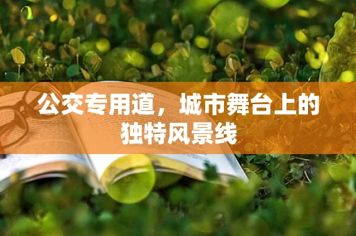 公交专用道，城市舞台上的独特风景线