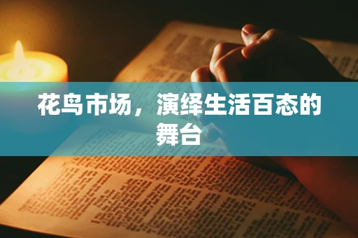 花鸟市场，演绎生活百态的舞台