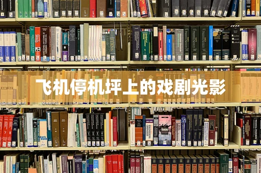飞机停机坪上的戏剧光影