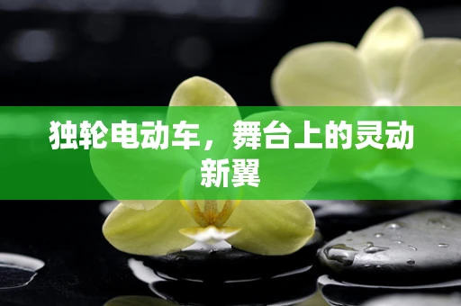独轮电动车，舞台上的灵动新翼