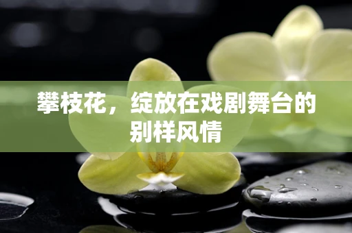 攀枝花，绽放在戏剧舞台的别样风情