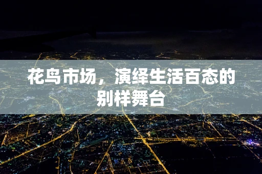 花鸟市场，演绎生活百态的别样舞台