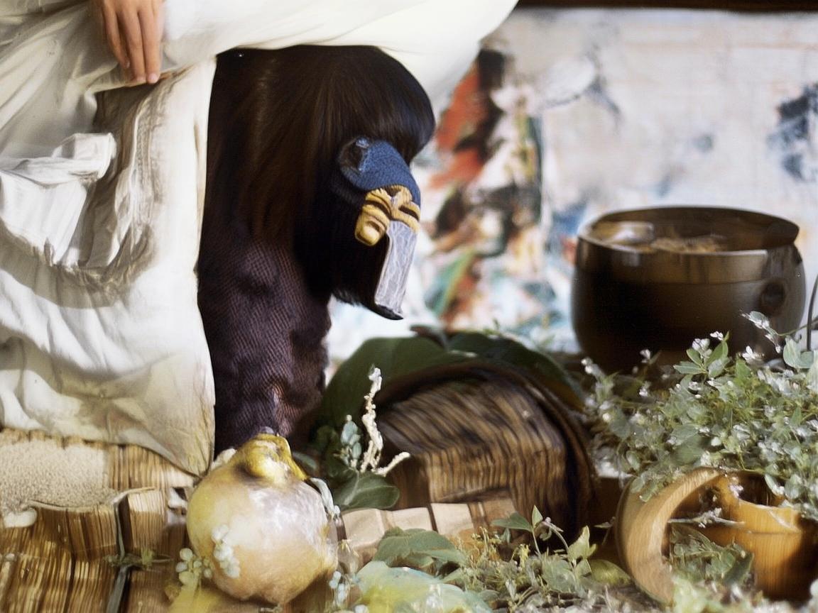 白露时节，演绎别样戏剧人生