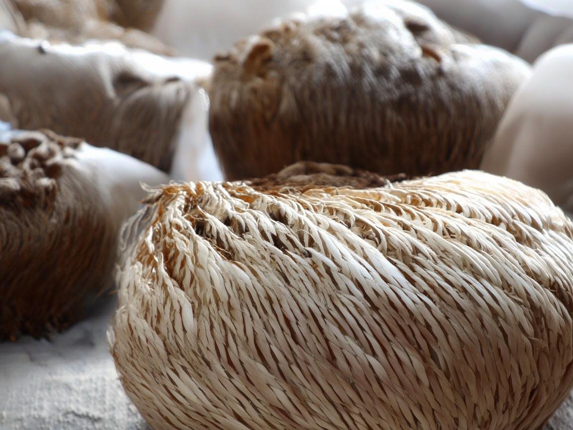 环卫车奏响城市的清洁乐章